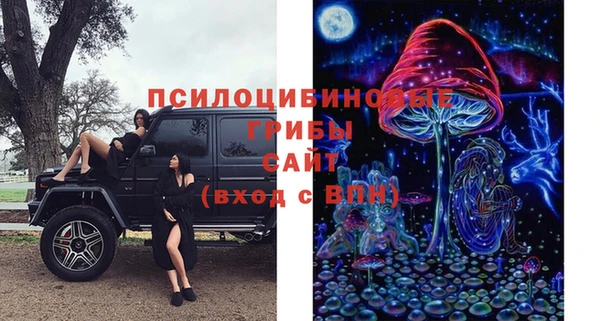 MDMA Белокуриха