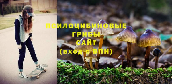MDMA Белокуриха
