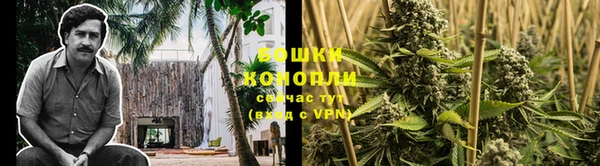 MDMA Белокуриха