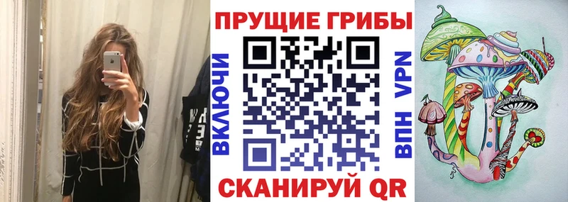 Псилоцибиновые грибы прущие грибы цена Покровск